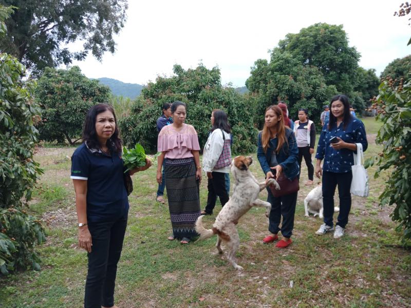 3. กิจกรรมแลกเปลี่ยนเรียนรู้การบริหารจัดการกลุ่มโดยนำหลักปรัชญาเศรษฐกิจพอเพียงไปใช้ในชีวิตประจำวัน วันที่ 9 พฤศจิกายน 2561 ณ ศาลาเอนกประสงค์ หมู่ที่ 7 ต.ท่าขุนราม อ.เมือง จ.กำแพงเพชร